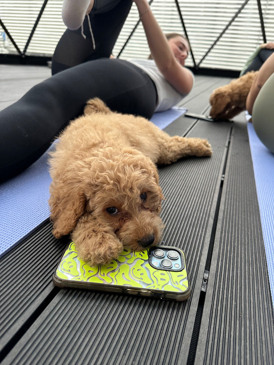 Manchester Puppy Yoga