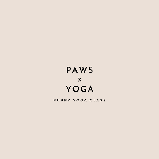 Puppy Yoga Manchester | 9th March 2024 | Labradoodles Tickets Released