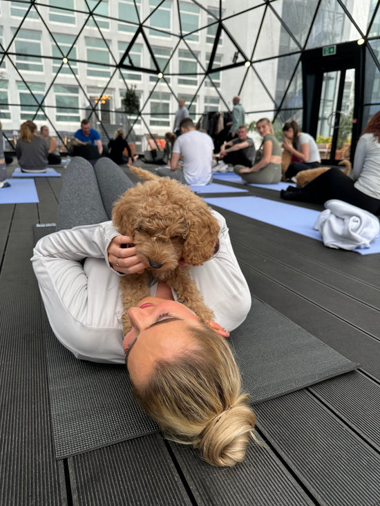 Puppy Yoga Manchester