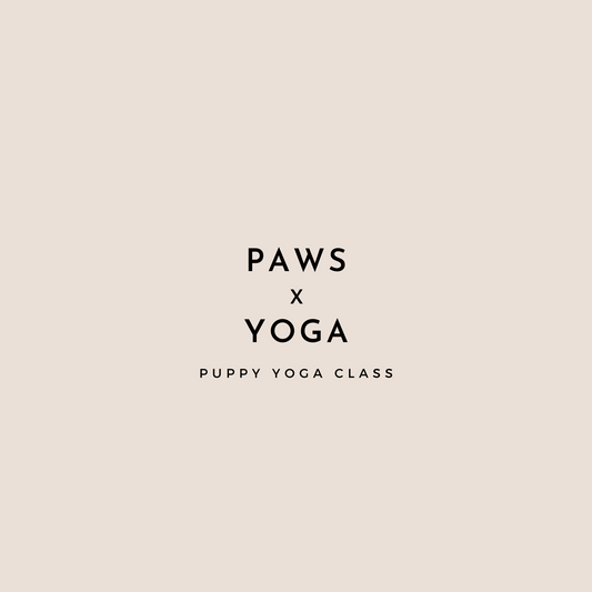 New Puppy Yoga - Manchester - TBC